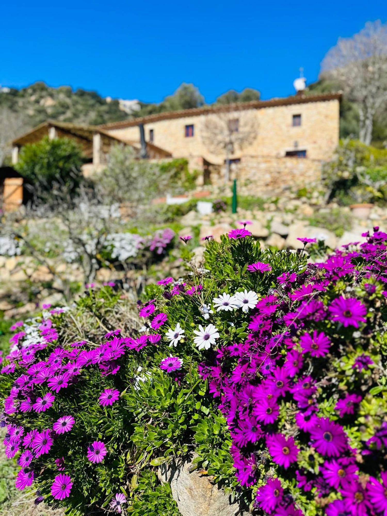 B&B La Vista Brava Platja d'Aro Bagian luar foto